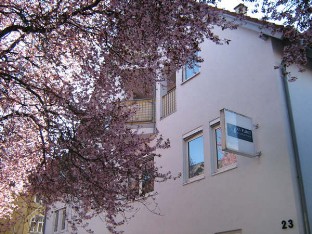 Kehl, Blumenstraße